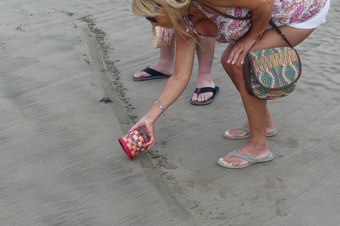 Acapulco Beach Horseback Riding Tour With Baby Turtle Release - Tour Cancellation Policy