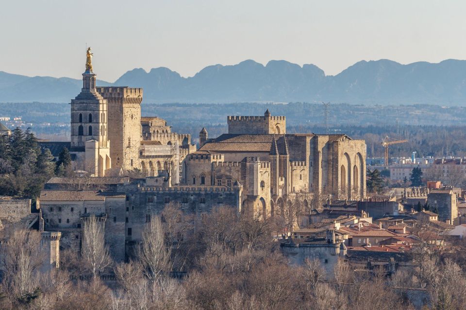 Avignon City of Popes & Wine Tasting Private Full Day Tour - Exclusions