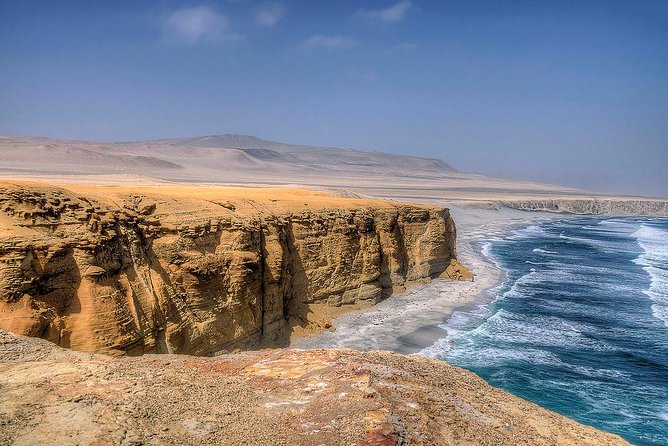 Ballestas Islands and Paracas Reserve From San Martin Port - Visitor Reviews and Feedback