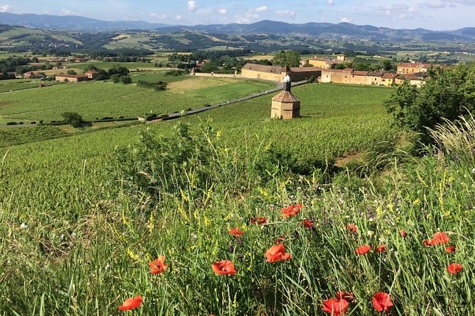 Beaujolais Wine Discovery - Private Tour - Half Day - Pricing Details