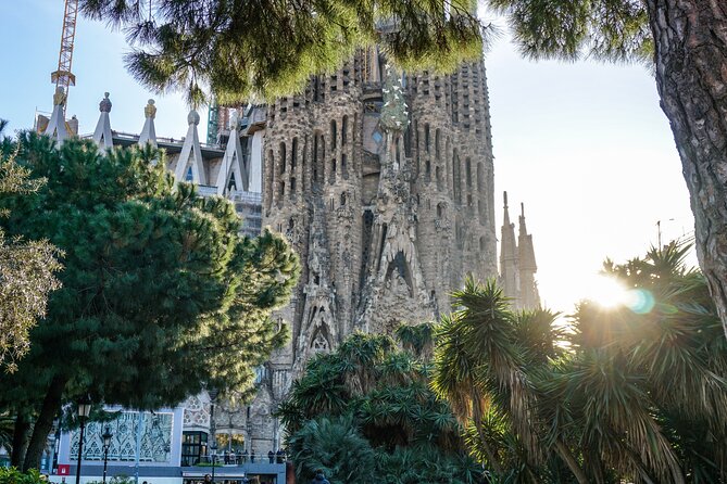 Best of Barcelona: Sagrada Familia, Park Guell, Montjuic & Gothic - Insightful Guided Tours