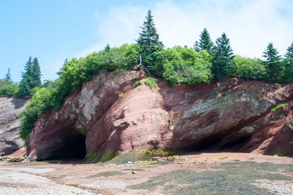 Best of Hopewell Rocks & Fundy National Park From Moncton - Directions