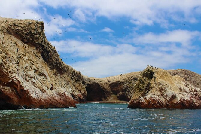 Boat Tour of the Ballestas Islands in Paracas - Background