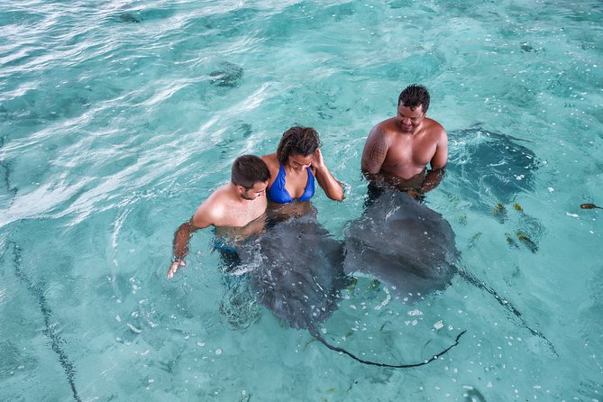 Bora Bora Eco Snorkel Cruise Including Snorkeling With Sharks and Stingrays - Inclusions and Logistics