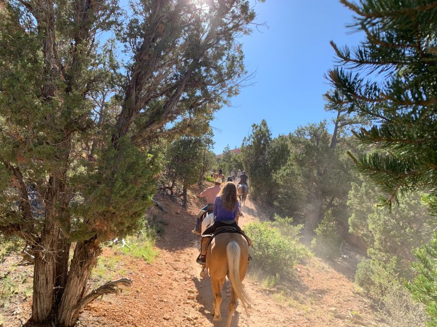 Bryce Canyon City: Red Canyon Horse Riding Day Trip W/ Lunch - Tips for the Trip