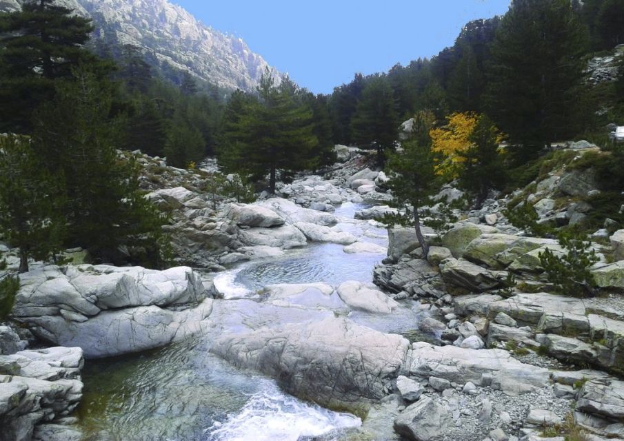 Calvi: Asco Valley 4x4 Day Tour With Guide - Important Information