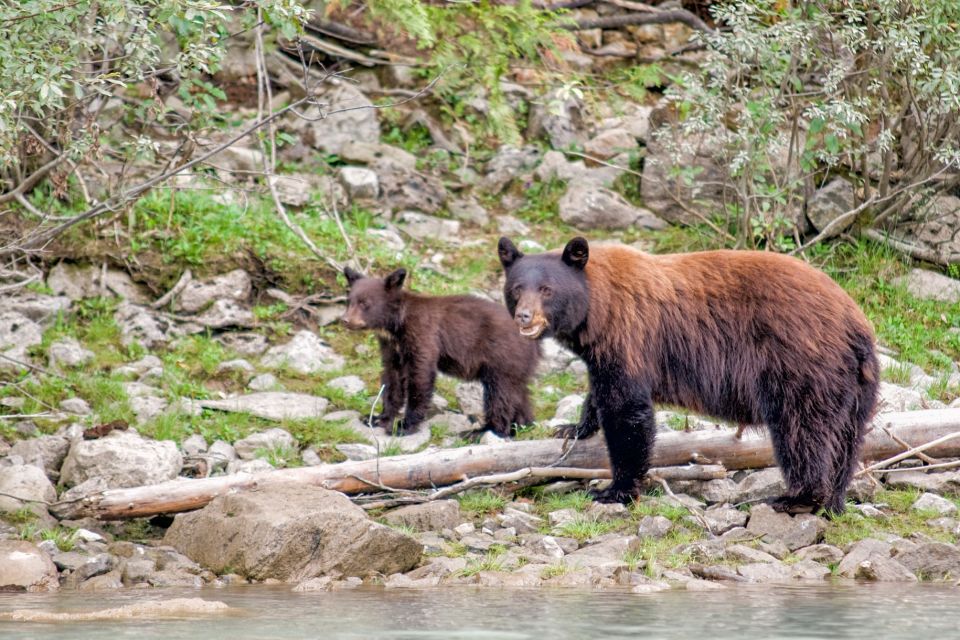 Canadian Rockies 7–Day National Parks Group Tour - Travel Restrictions and Considerations