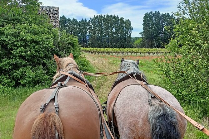 Carriage Rides in the Heart of the Luberon - Directions