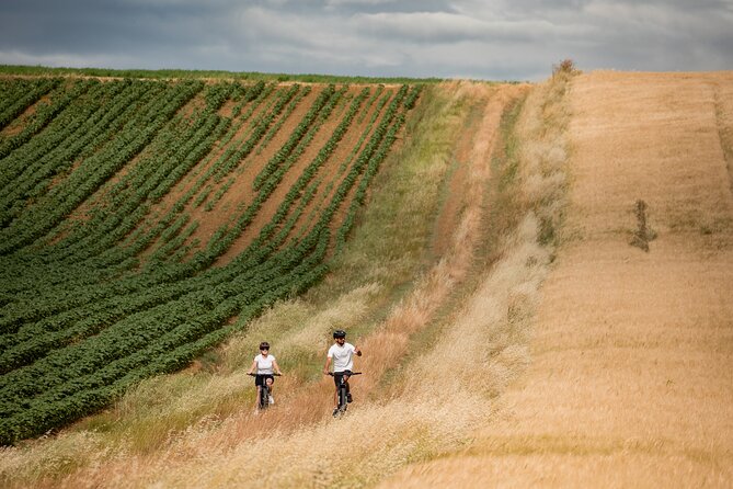 Castiglion Fiorentino - Ebike Tour in the Tuscan Countryside - Pricing and Additional Information