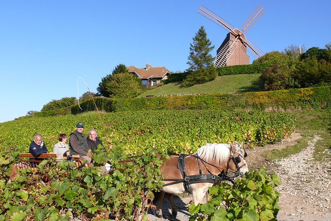 Champagne Day Tour With Reims, Cellars Visit & Champagne Tasting From Paris - Champagne Tasting Experience