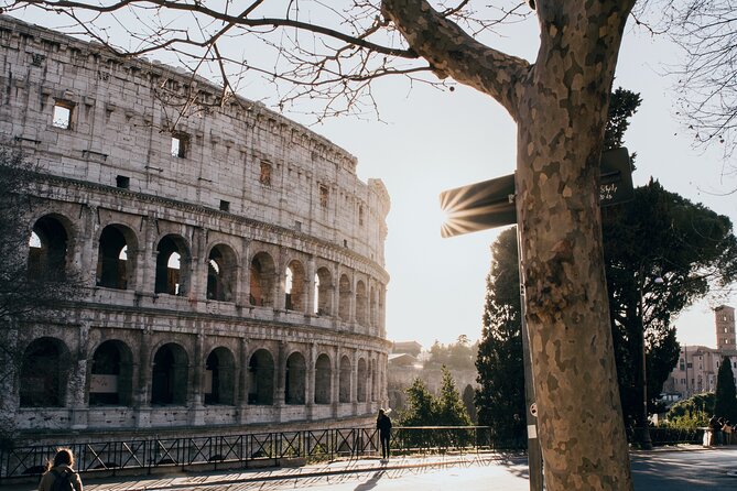 Colosseum Tour With Palatine Hill and Roman Forum Group Tickets - Reviews and Customer Feedback