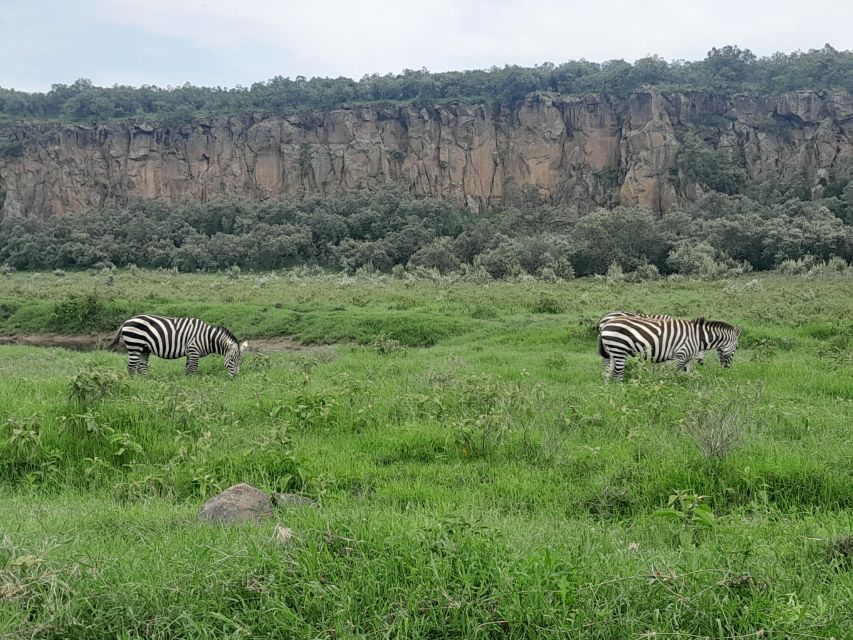 Day Trip to Hells Gate and Lake Naivasha - Reviews