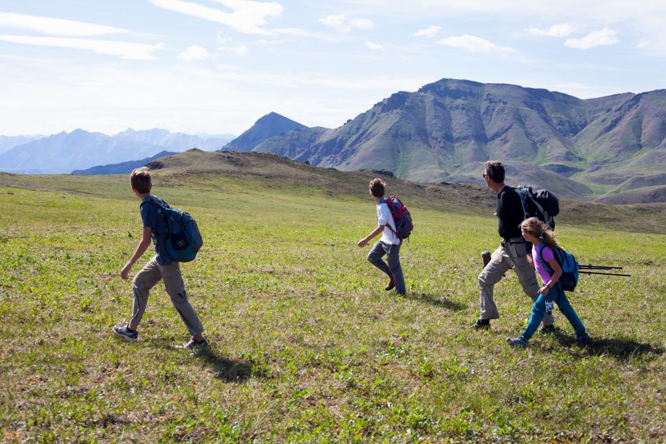 Denali: 5-Hour Guided Wilderness Hiking Tour - Final Words
