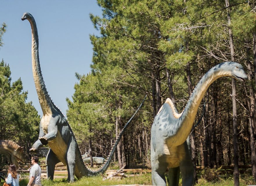 Dinosaurs Park - Family Half Day Tour - Important Information