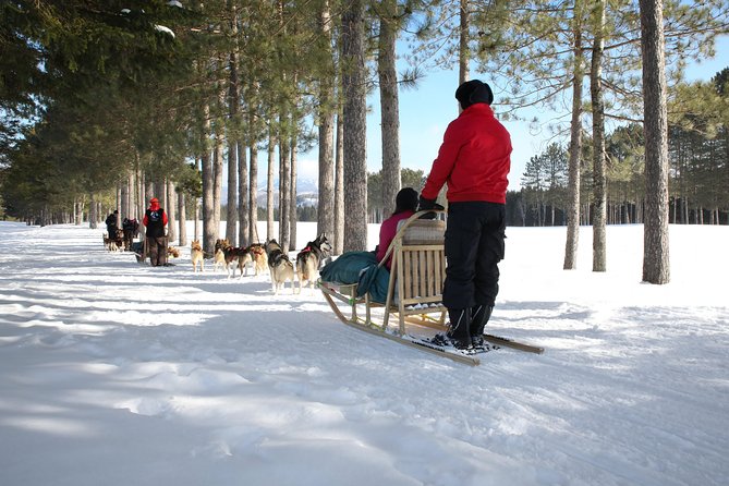 Dogsled Adventure in Mont-Tremblant - Pricing and Refund Policy