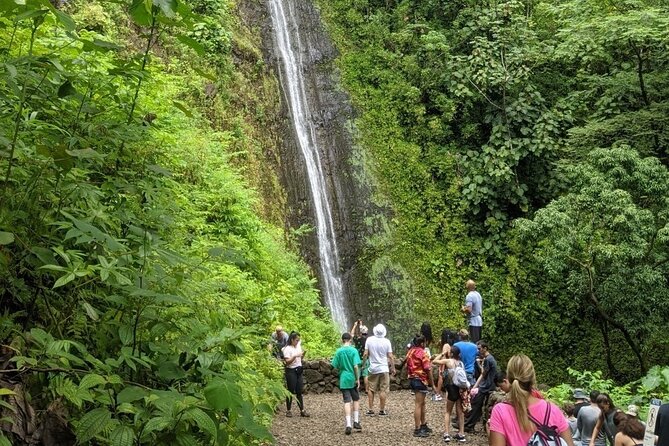 Electric Bike Ride & Manoa Falls Hike Tour - Meeting Point and Parking Information