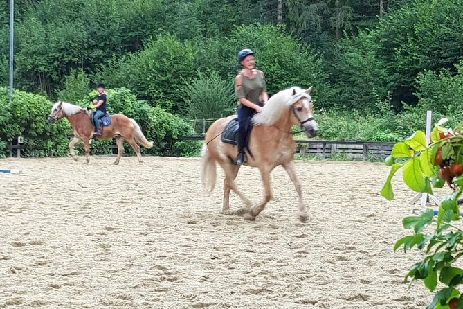 Equestrian Adventure Day for Big and Small Horse Lovers - Booking Information