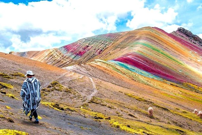 Excursion to Rainbow Mountain Palcoyo From Cusco. - Landscape and Scenic Highlights