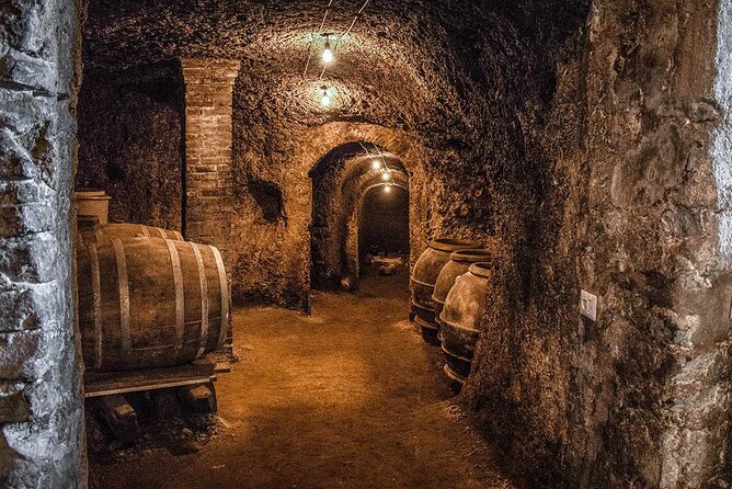 Frascati Food Tour and Winery Visit  - Rome - Additional Information