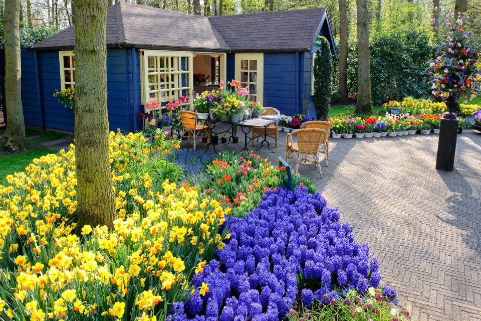 From Amsterdam: Keukenhof Flower Park Transfer With Ticket - Language Support