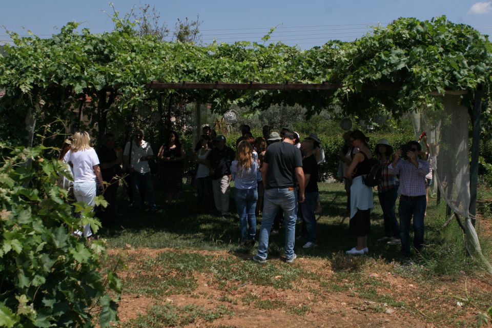 From Athens: Nemea & Nafplio Private Wine and History Tour - Background