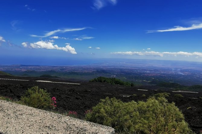 From Catania: Private Mt. Etna Trekking and Pic-Nic - Final Words