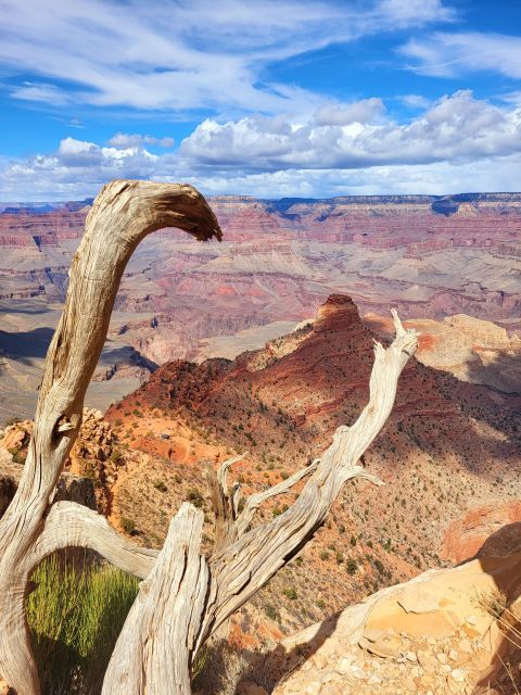 From Flagstaff: Private Grand Canyon National Park Tour - Benefits of Private Tour