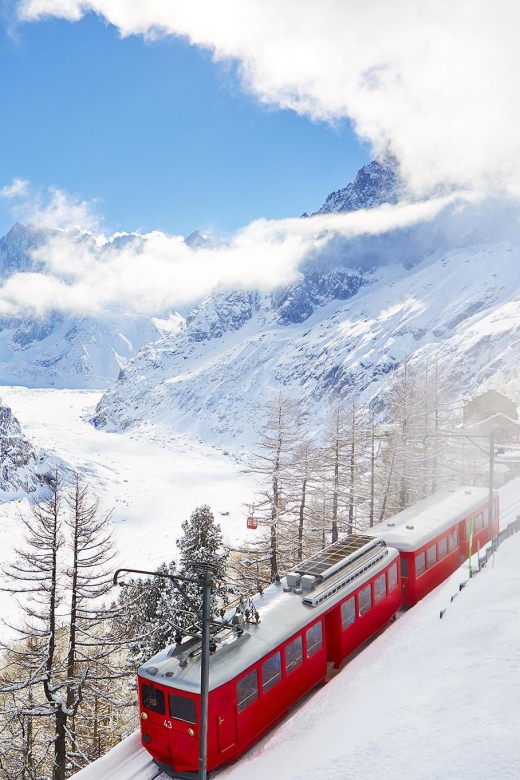 From Geneva: Independent Half-Day to Chamonix Mont-Blanc - Customer Review