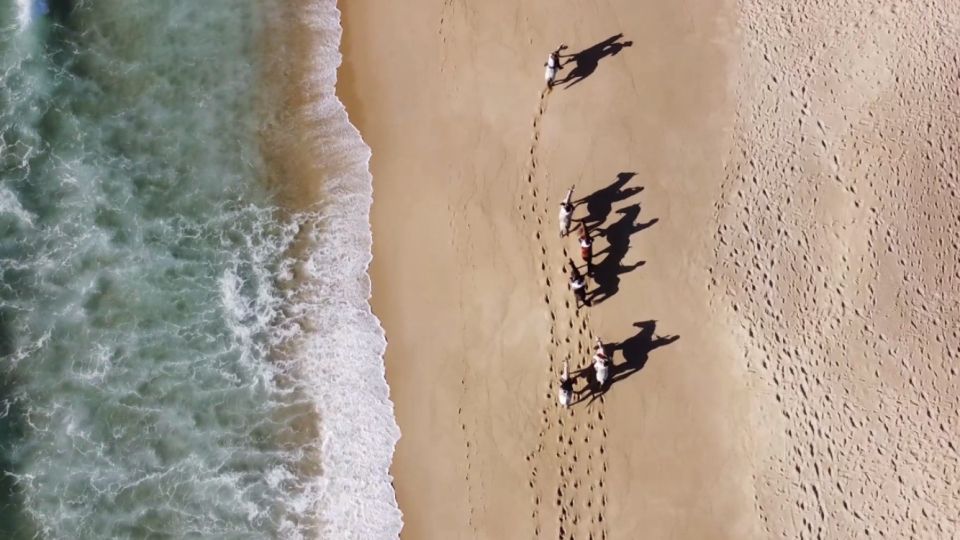 From Lisbon: Horseback Riding on Comporta Beach - Inclusions