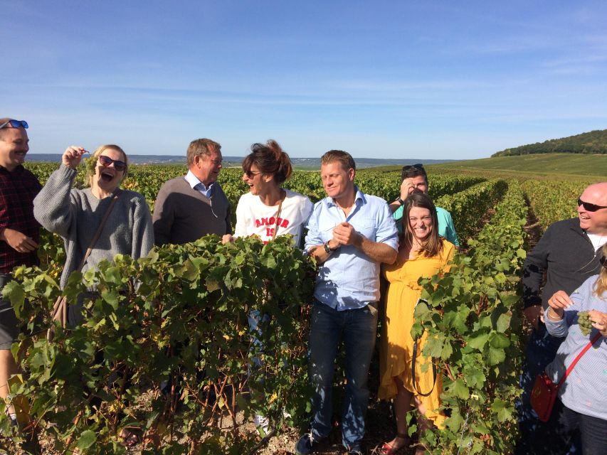 From Reims/Epernay: Champagne Half-Day Tour (Small Group) - Customer Reviews and Traveler Types