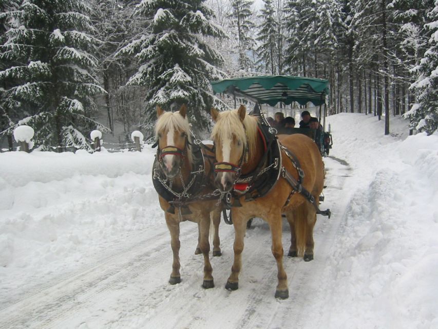 From Salzburg: Romantic Sleigh Ride Through the Countryside - Immerse in Enchanting Christmas Markets