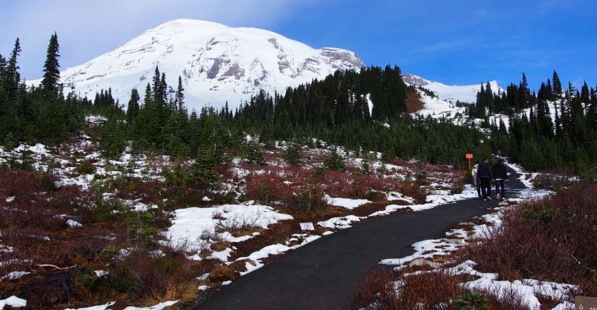 From Seattle: Mount Rainier Full-Day Tour - Departure Information