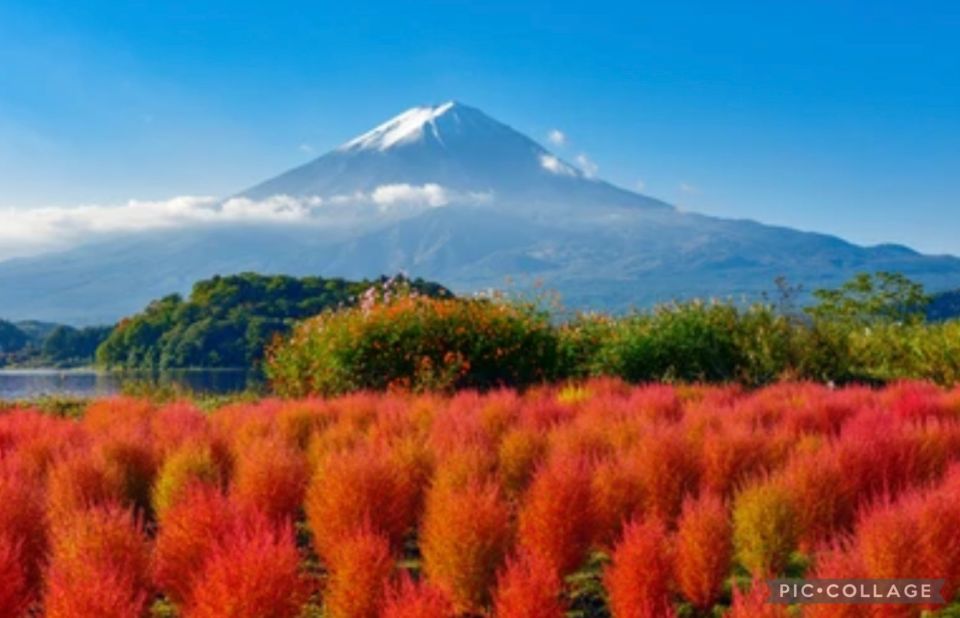 From Tokyo/Hakone/Fuji: Hakone & Mt. Fuji Day Trip W/Pickup - Common questions