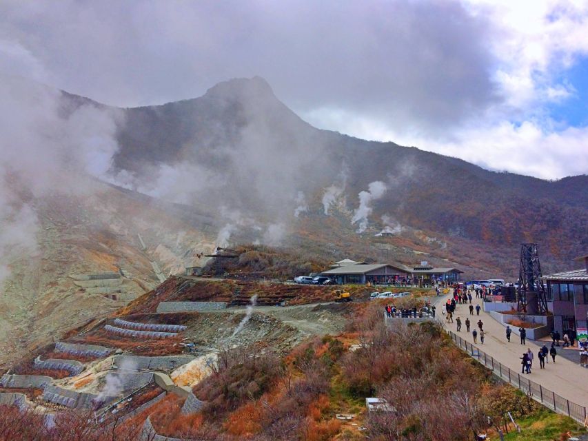 From Tokyo: Hakone, Owakudani, & Lake Kawaguchi Day Tour - Meeting Points