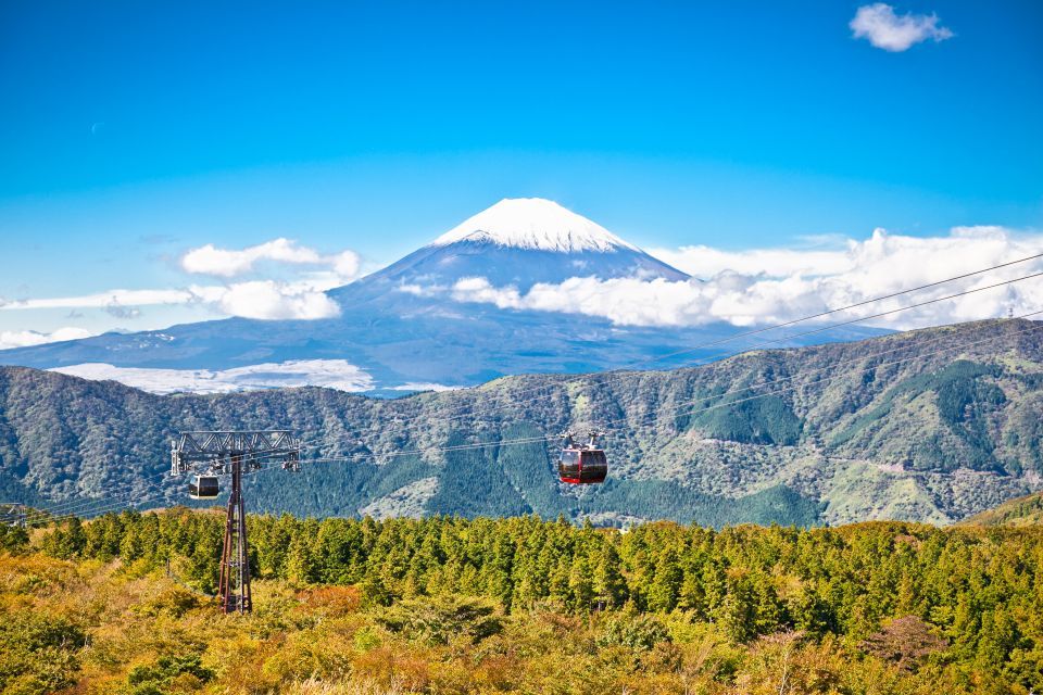 From Tokyo: Private Day Trip to Hakone With Lake Ashi Cruise - Important Reminders and Weather Considerations