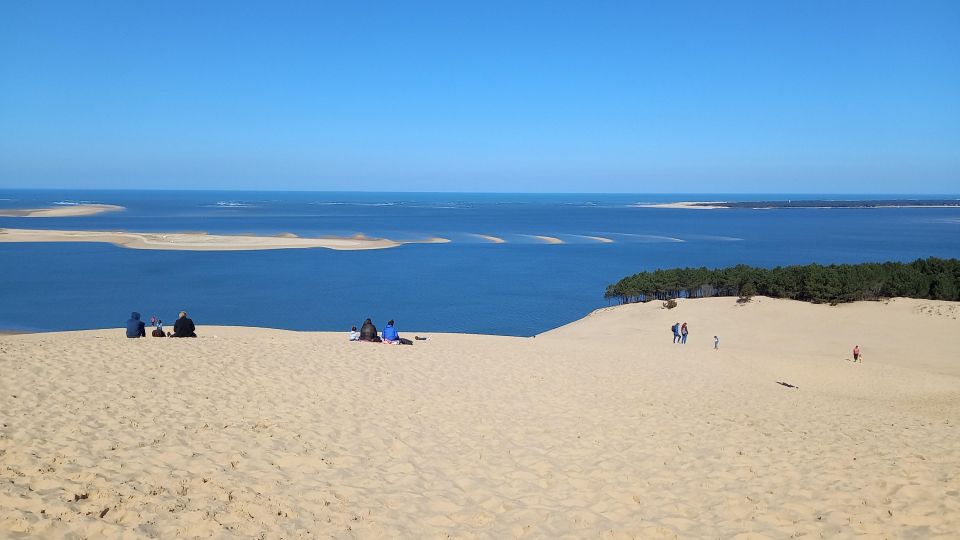Full Day Dune of Pilat, Arcachon, Oysters Tasting Include ! - Important Info and Activity Details