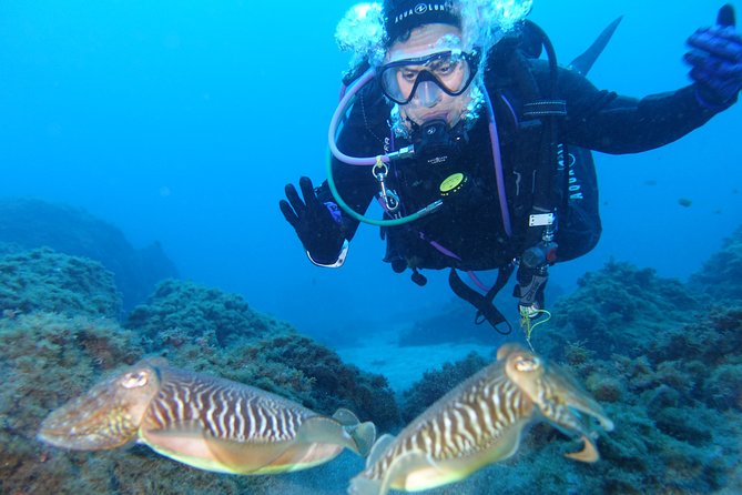 Fun Scuba Diving in Tenerife - Customer Reviews and Recommendations