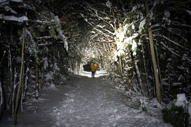 Gatineau Park Nocturnal Snowshoeing Adventure & Dinner - From Ottawa & Gatineau - Booking Information