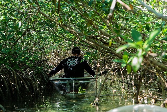 Guided Clear Kayak Eco-Tour Near Key West - Booking Information