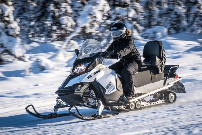 Guided Fairbanks Snowmobile Tour - Wildlife Spotting and Exploration