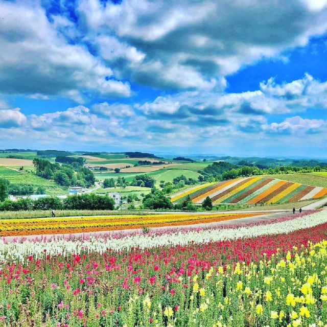 Hokkaido: Biei Blue Pond and Furano Flower Farm Day Trip - Common questions