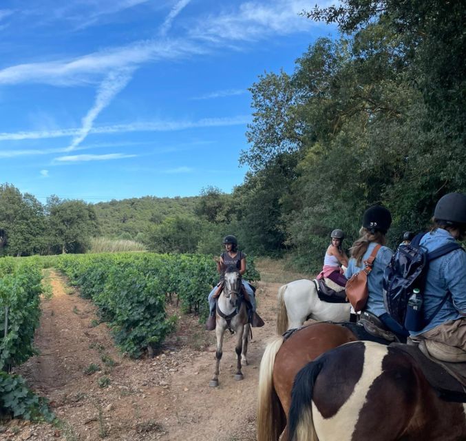 Horse Back Riding + Wine Tasting in the Maures Forest - Customer Reviews