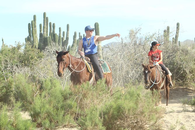 Horseback Riding Tour in Cabo San Lucas - Additional Information