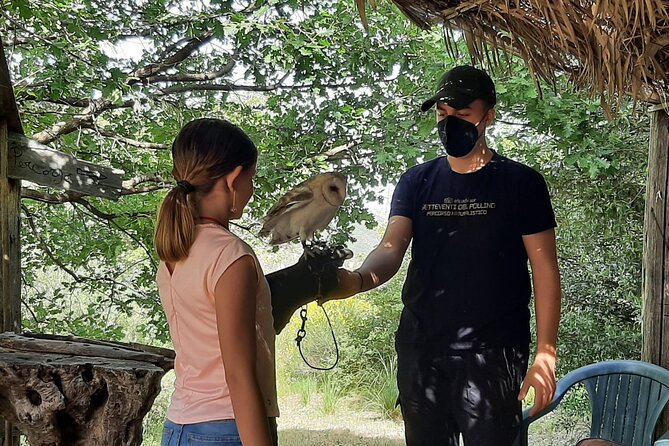 Interactive Path of Birds of Prey - Conservation Efforts