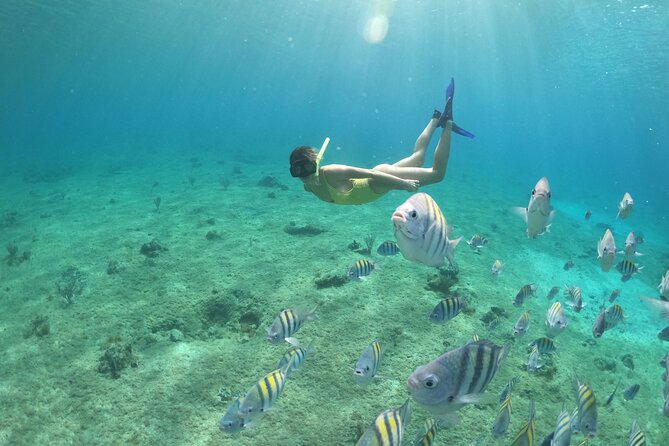 Invisible Boat Snorkeling Adventure in Cozumel - Additional Details