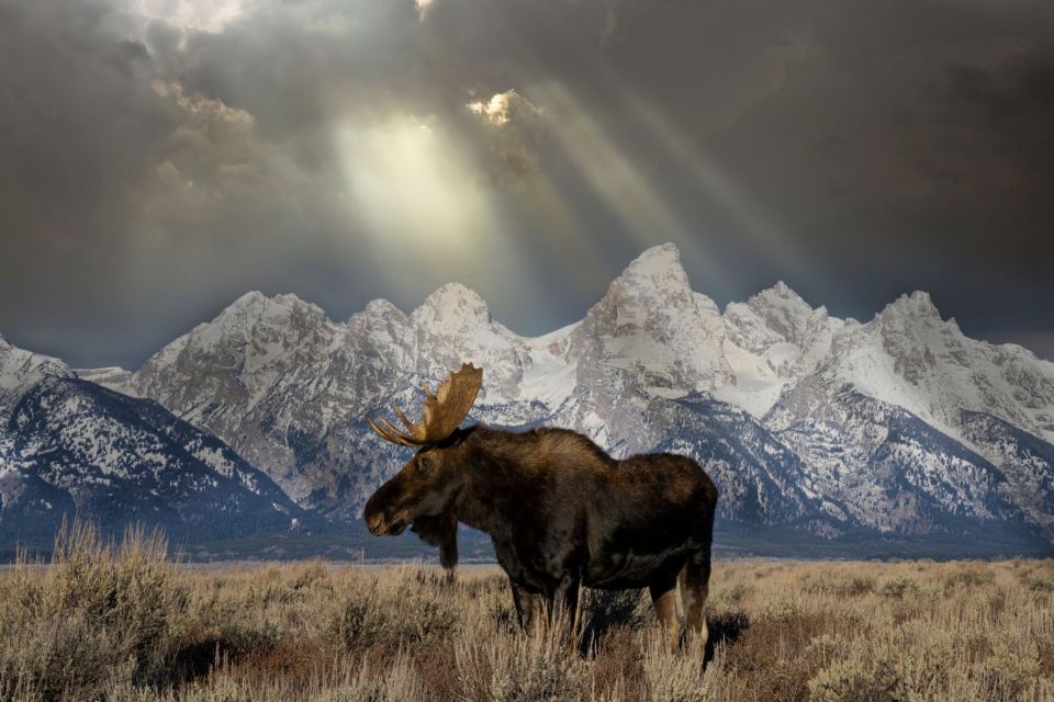 Jackson: Grand Teton & Native American Petroglyph Tour - Additional Information