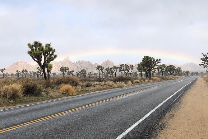 Joshua Tree National Park Scenic Tour - Common questions