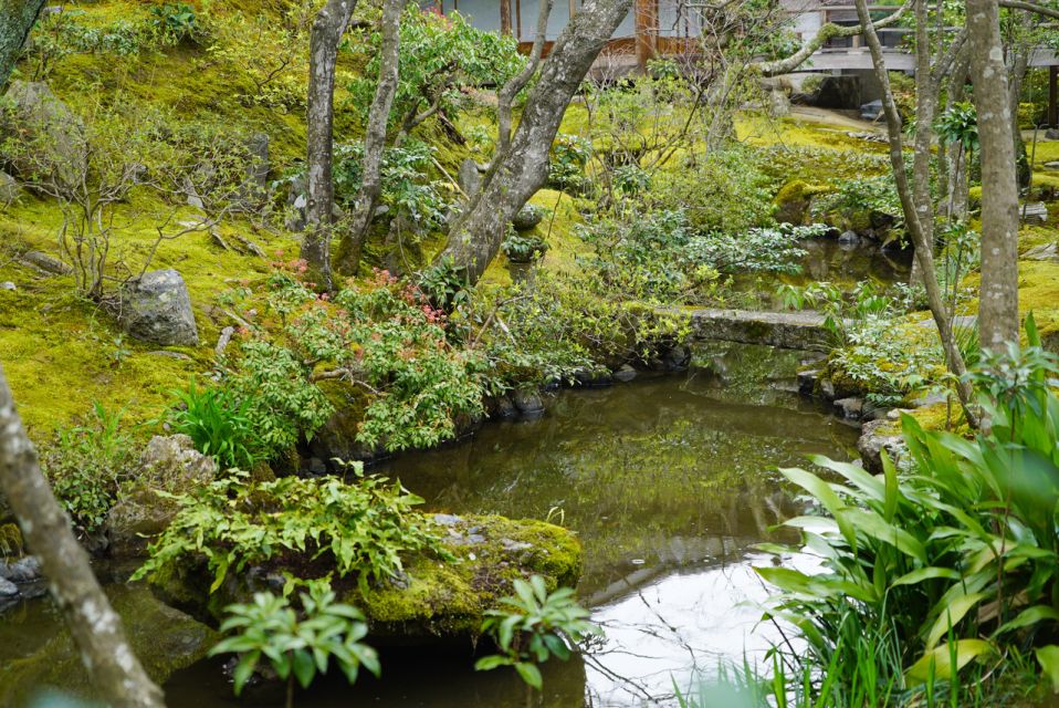 Kyoto: 5-Hour Arashiyama Walking Tour - Local Guide and Cultural Insights