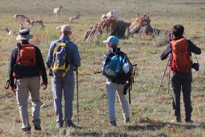 Lamar Valley Safari Hiking Tour With Lunch - Common questions