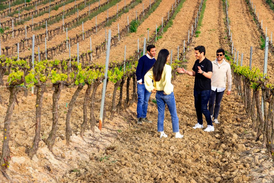 Lisbon: Winery Experience With 4WD Tour and Wine Tasting - Important Information